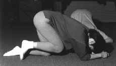 calci1.jpg (38764 bytes)