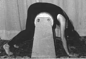 cavalletto03.jpg (106781 bytes)