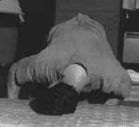 collo03.jpg (24097 bytes)